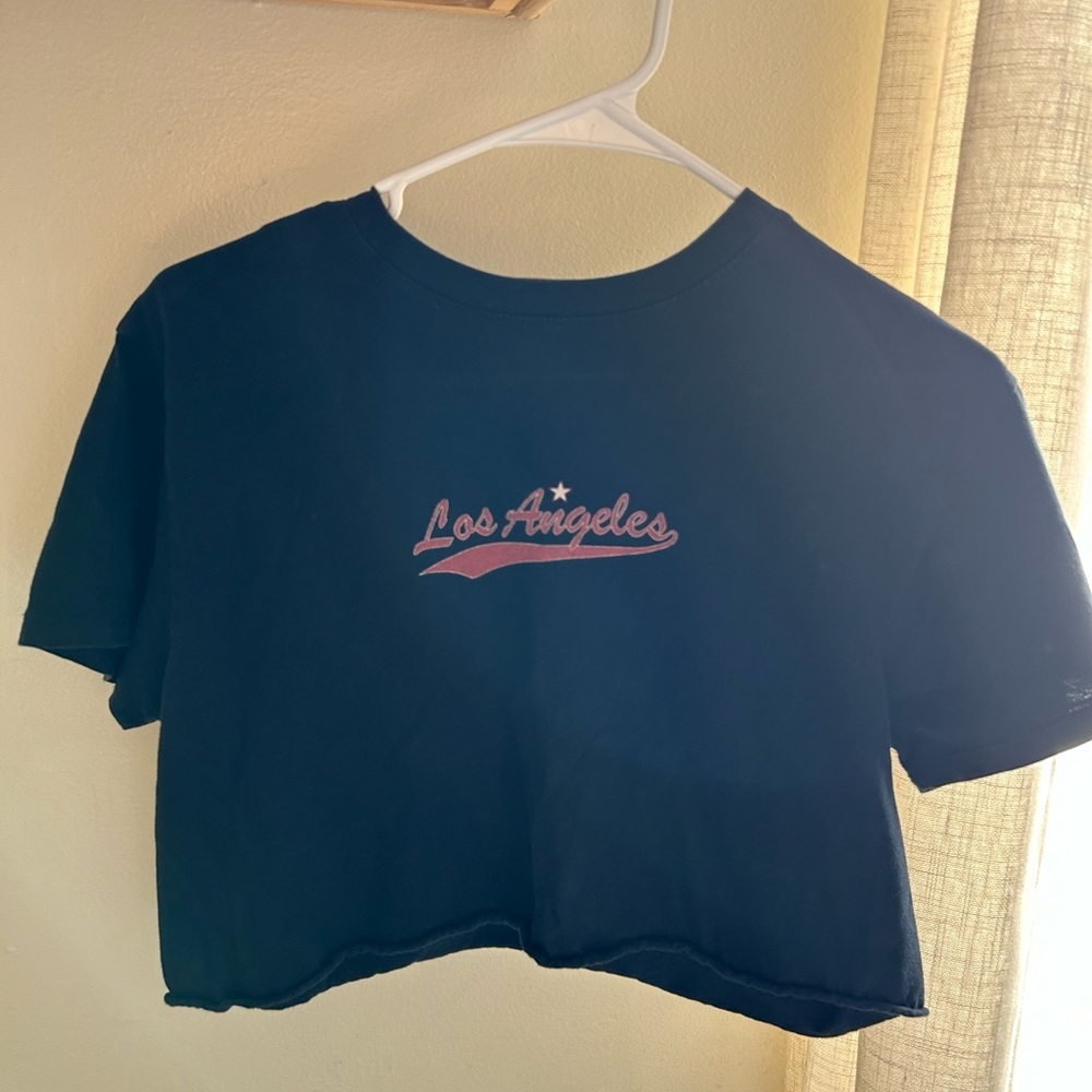 Brandy Melville John Galt blue crop top